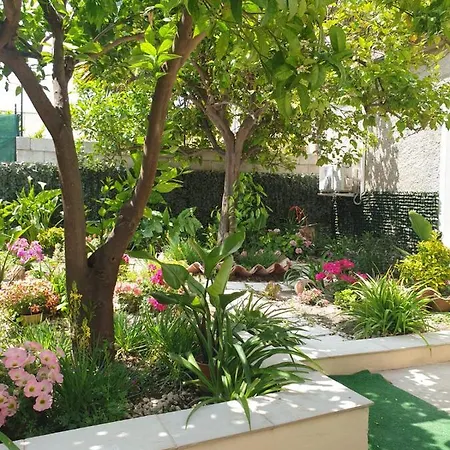 Apartment Con Giardino E Area Barbecue Martis