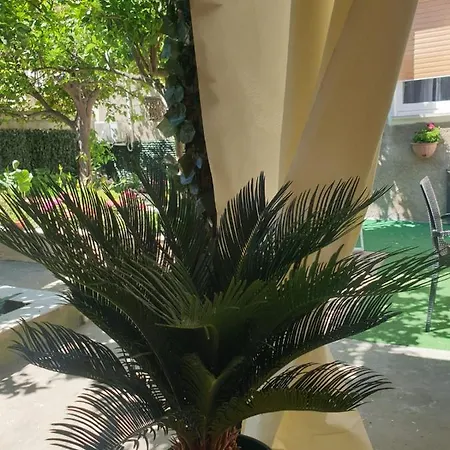Con Giardino E Area Barbecue *