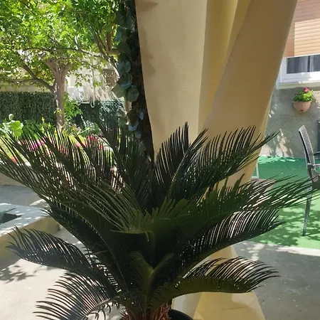 Con Giardino E Area Barbecue *